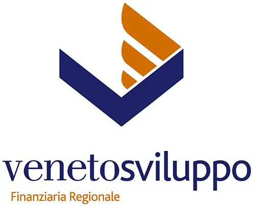 Veneto Sviluppo